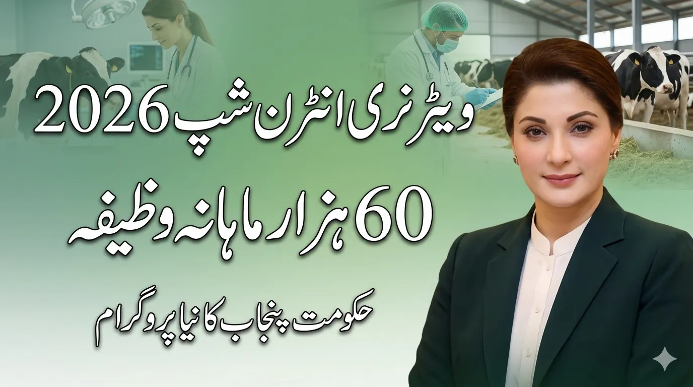 CM Maryam Nawaz Internship